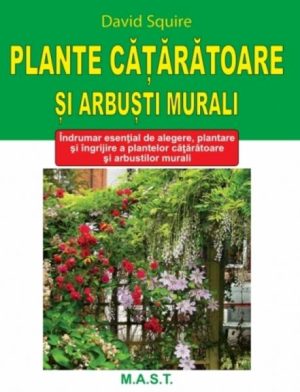 Plante cataratoare si arbusti murali