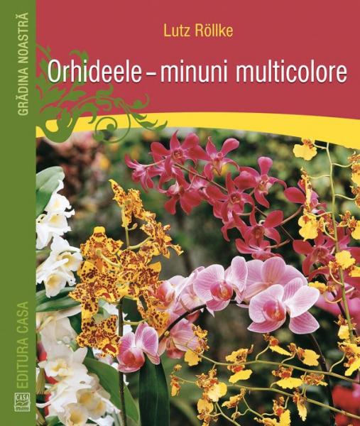 Orhideele - minuni multicolore Orhideele - minuni multicolore