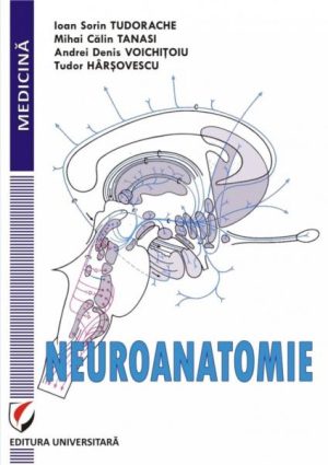 Neuroanatomie