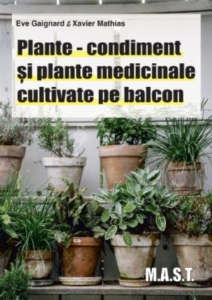 Plante-condiment si plante medicinale cultivate pe balcon