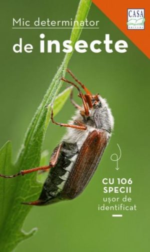 Mic determinator de insecte, cu 106 specii usor de identificat