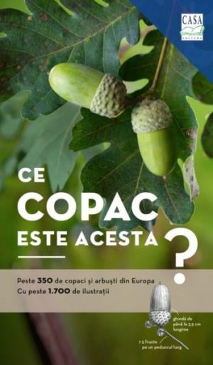 Ce copac este acesta? Peste 350 de copaci si arbusti din Europa